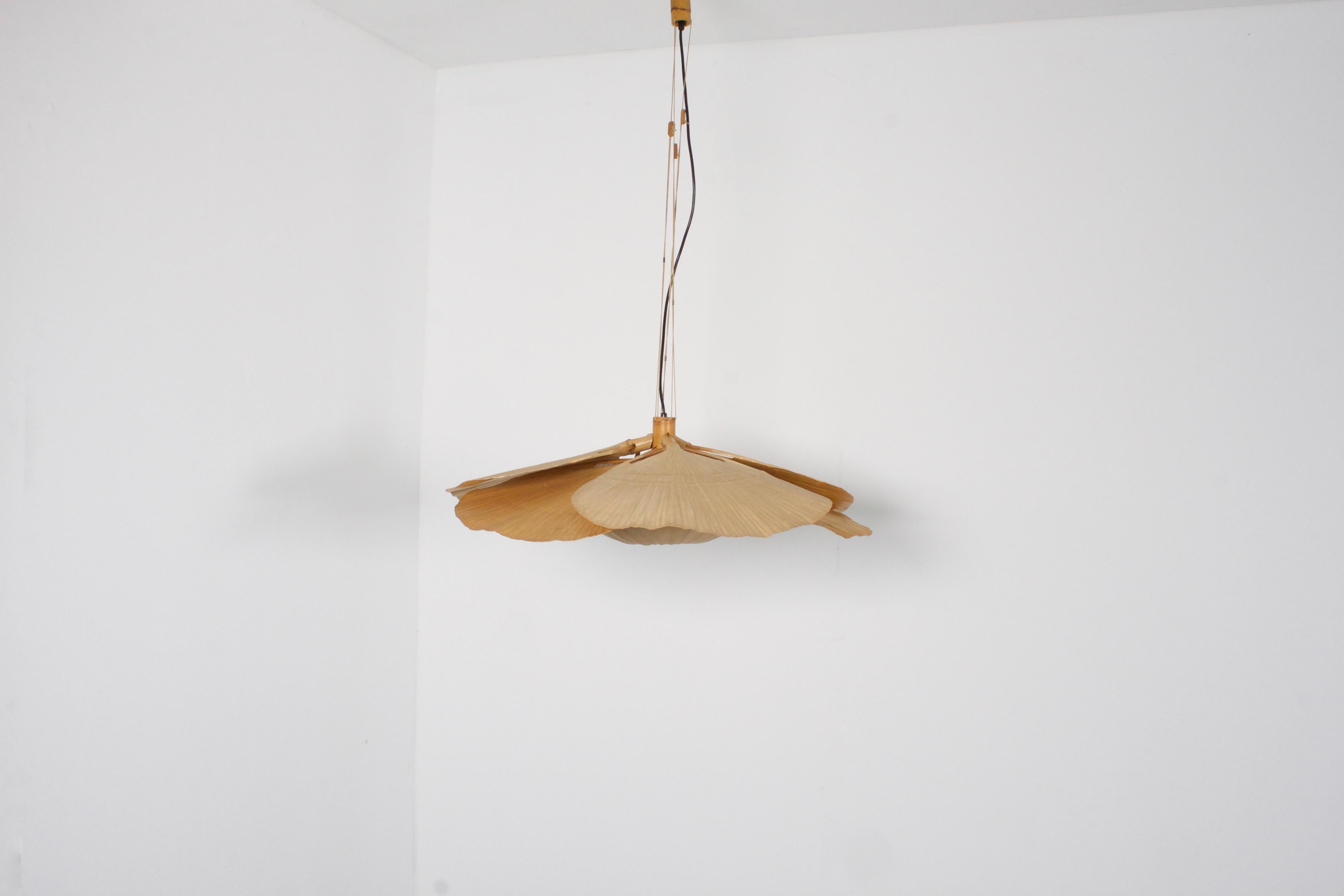 Rare large ‘Uchiwa’ chandelier by Ingo Maurer in very good condition. 

Designed by Ingo Maurer for M design, Germany. 

This lamp is handmade from bamboo, fabric and Japanese rice paper. 

The lamp consists of six large fans hanging from a