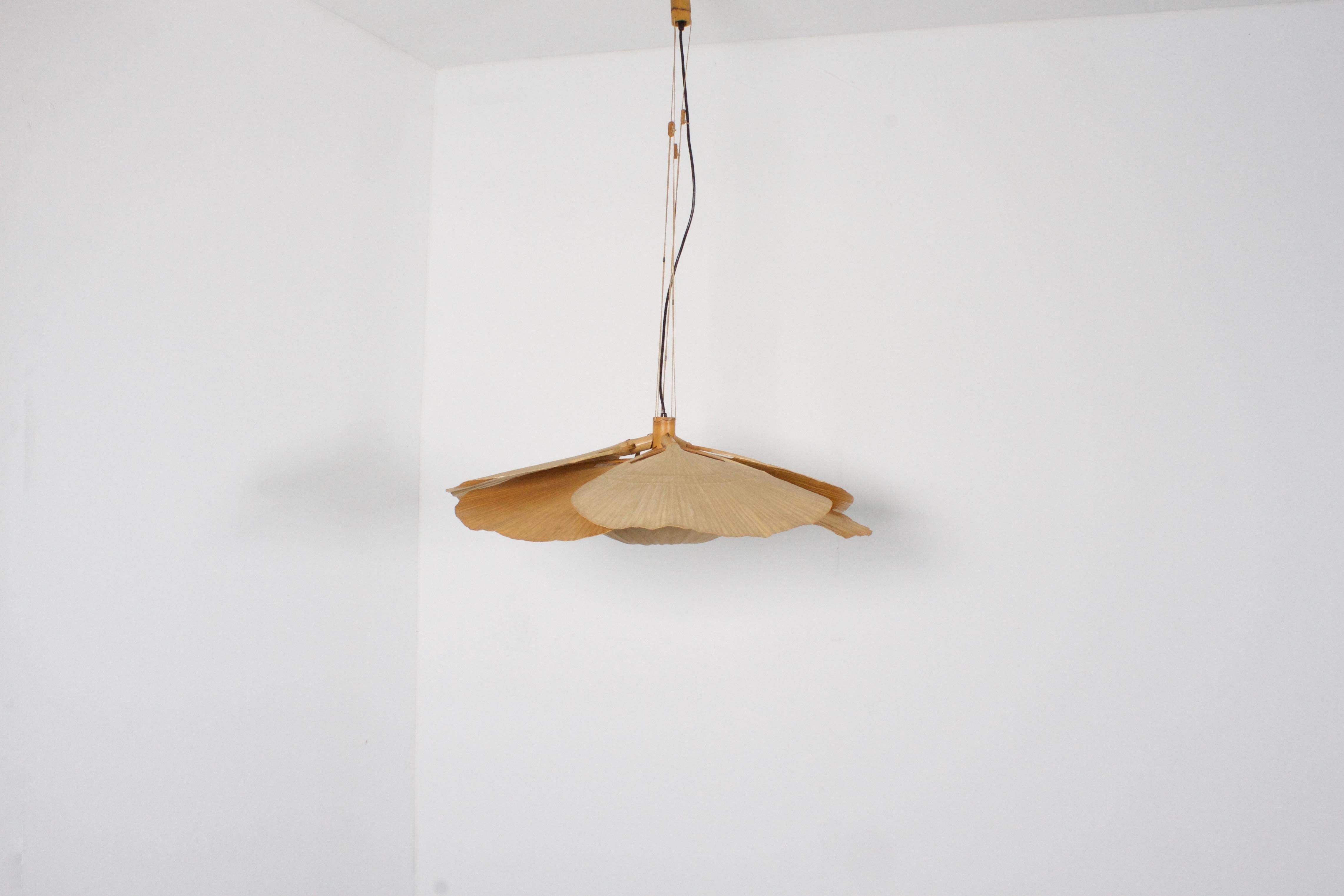 Rare large ‘Uchiwa’ chandelier by Ingo Maurer in very good condition. 

Designed by Ingo Maurer for M design, Germany. 

This lamp is handmade from bamboo, fabric and Japanese rice paper. 

The lamp consists of six large fans hanging from a bamboo