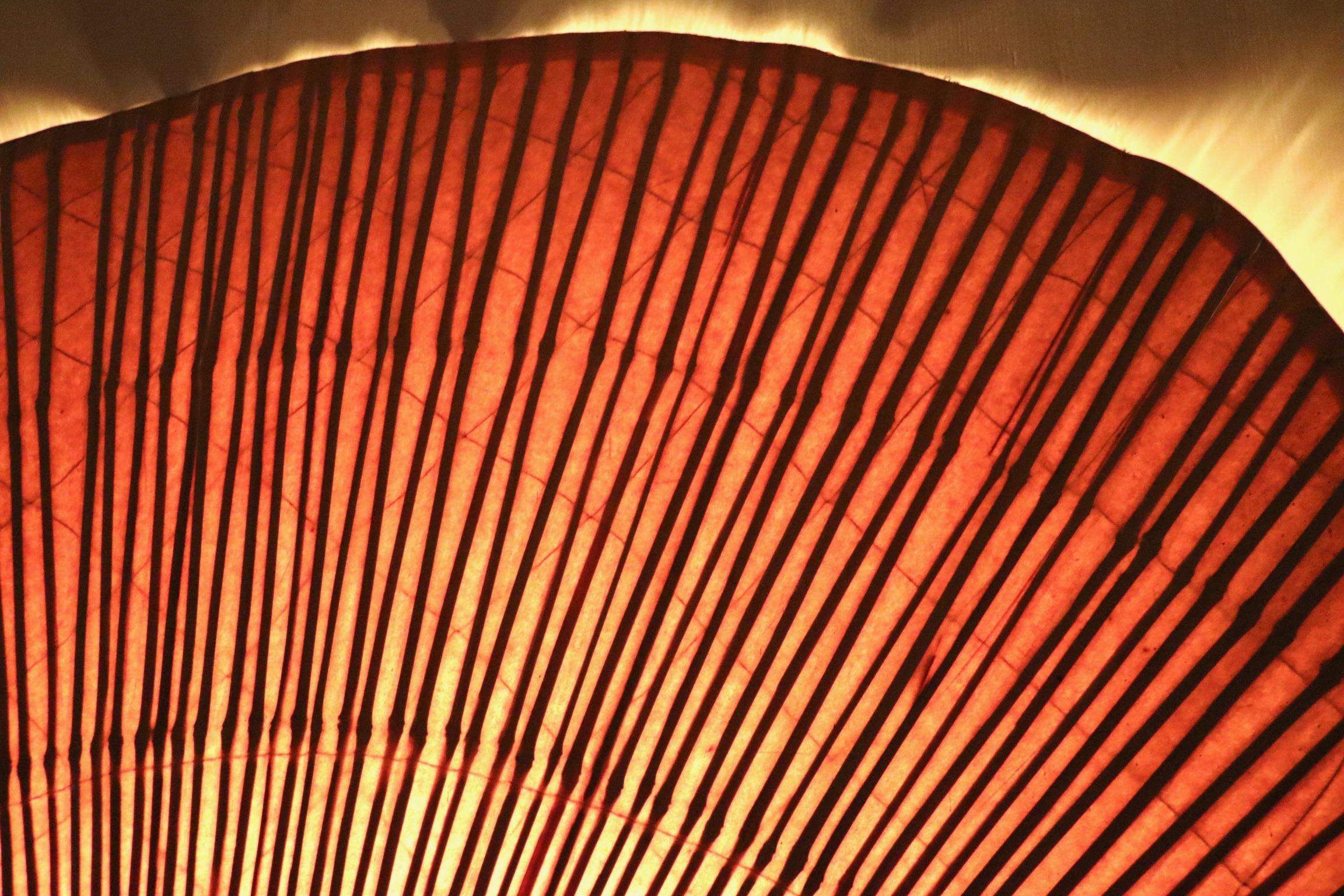 Large Uchiwa Floor Lamp By Ingo Maurer For M Design , Germany 1977 7