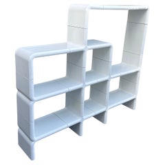 Large UMBO "Architectural Wall" Modular Shelving System by Kay Leroy Ruggles