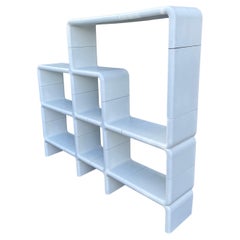 Large UMBO "Architectural Wall" Modular Shelving System by Kay Leroy Ruggles