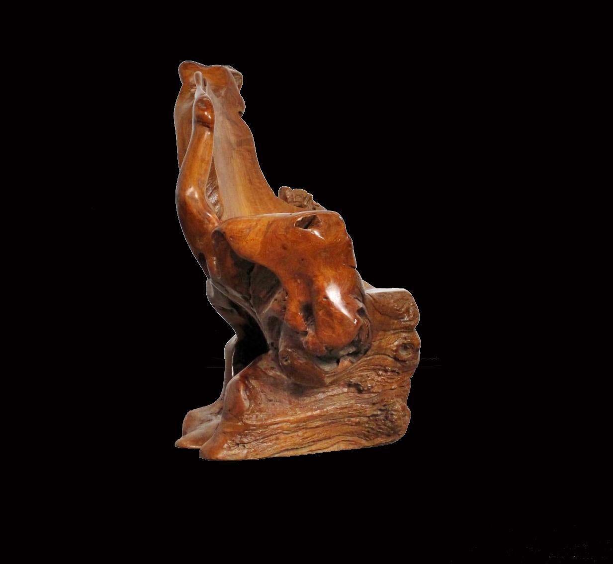 This large tree root which has been carved and polished to retain it's natural form, but to allow for a seat.
Because it's natural form it is unique, although there may be other similar pieces, none will be exactly like this one!