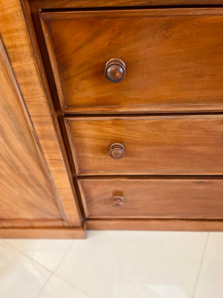 Großer ungewöhnlicher antiker Mahagoni-Kleiderschrank in William IV.- Qualität im Angebot 1