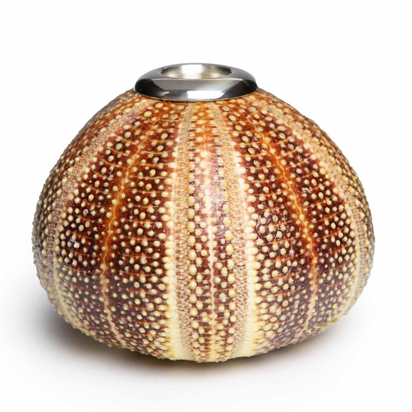 Large Urchin Candle Holder by Creel and Gow.

At Creel and Gow, we take great pride in our signature silvered shells, which have been a hallmark of our collection for over 20 years. To create these exquisite pieces, we have been working with the