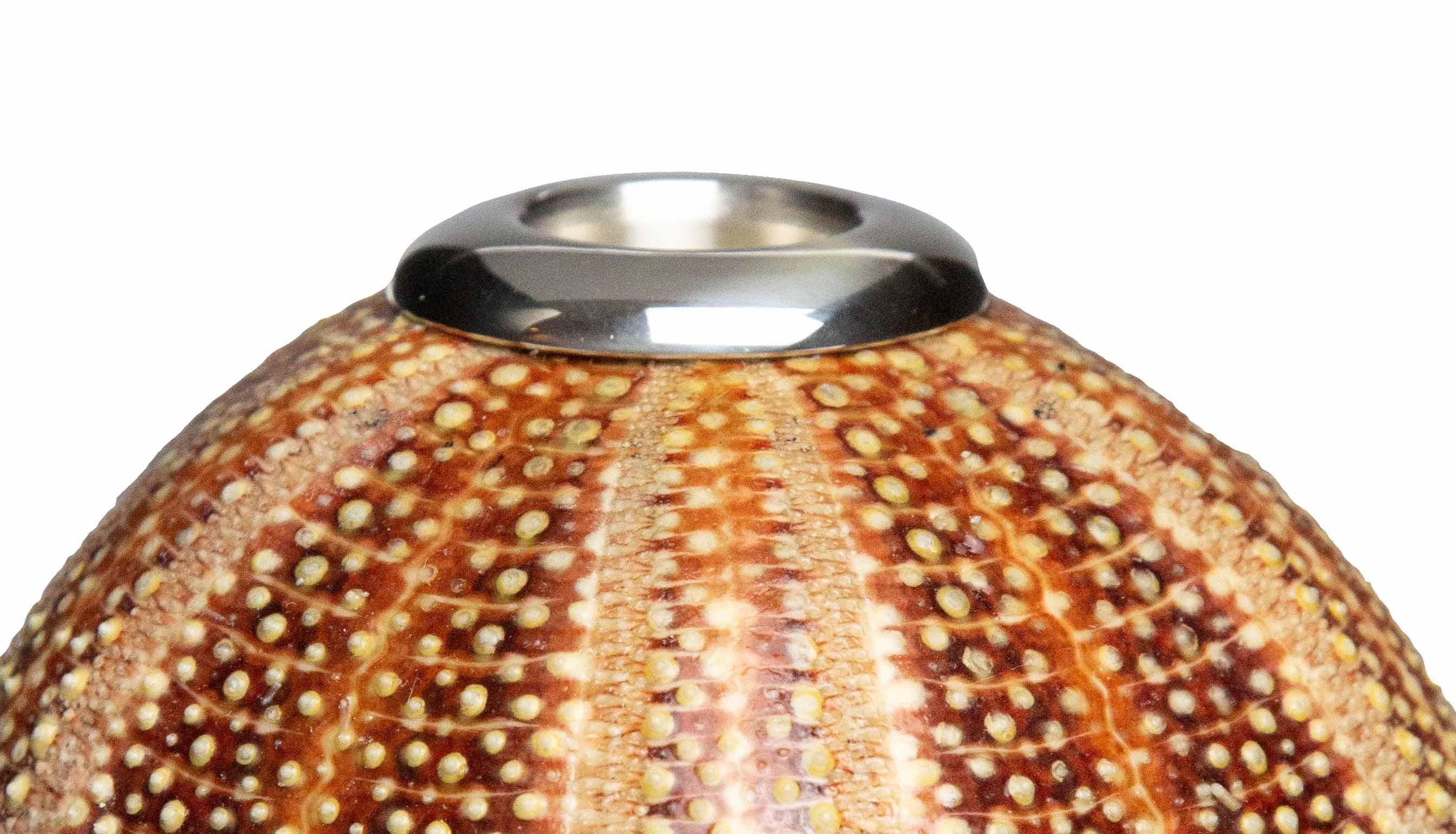 Victorian Large Urchin Candle Holder by Creel and Gow
