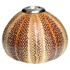 Large Urchin Candle Holder by Creel and Gow