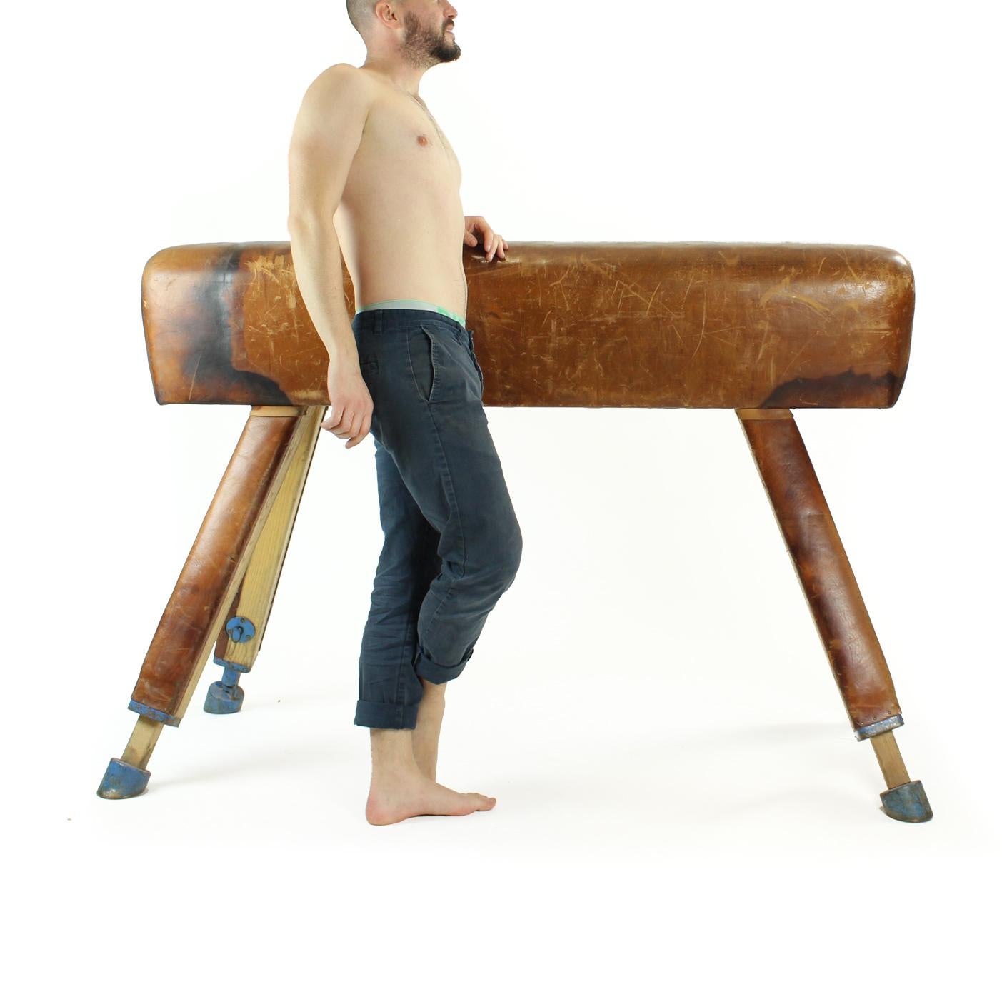 Large Vaulting Gymnastics Leather Horse, Czechoslovakia, circa 1950 In Good Condition For Sale In Zohor, SK