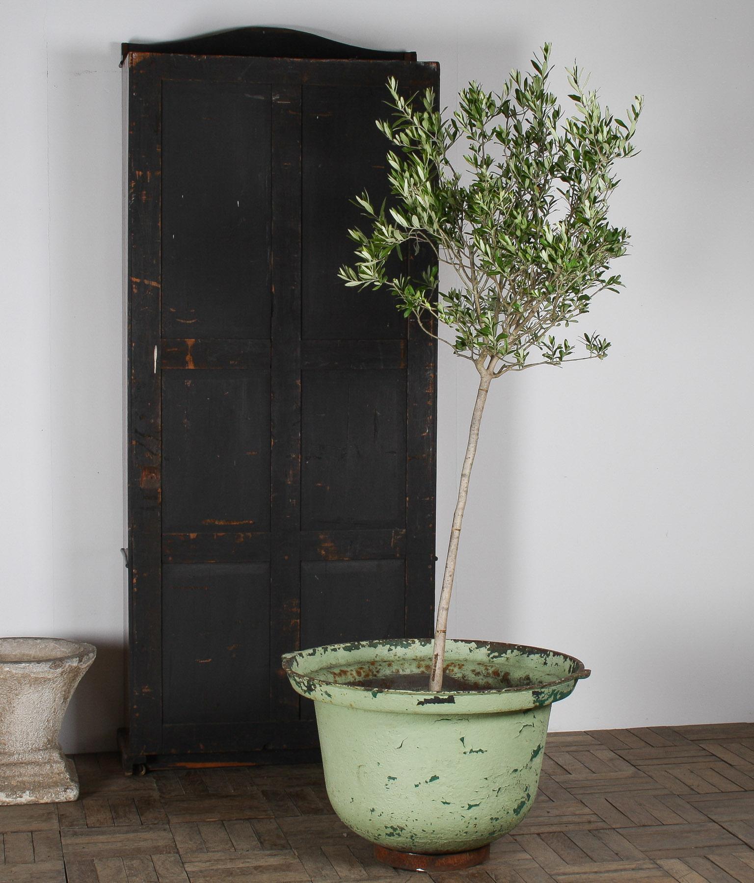 Large Verdigris Copper Green Painted Cast Iron Cauldron Garden Planter Pot For Sale 3