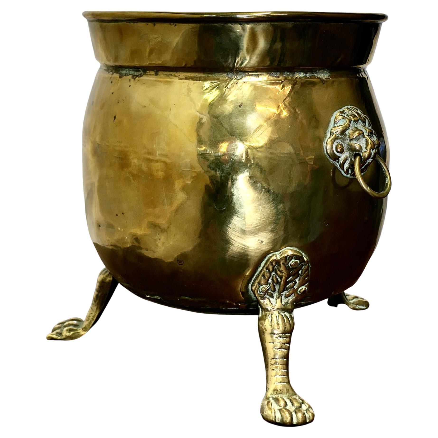Large Victorian Brass Jardinière with Lions Mask & Hairy Paw Feet    For Sale