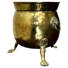 Large Victorian Brass Jardinière with Lions Mask & Hairy Paw Feet   