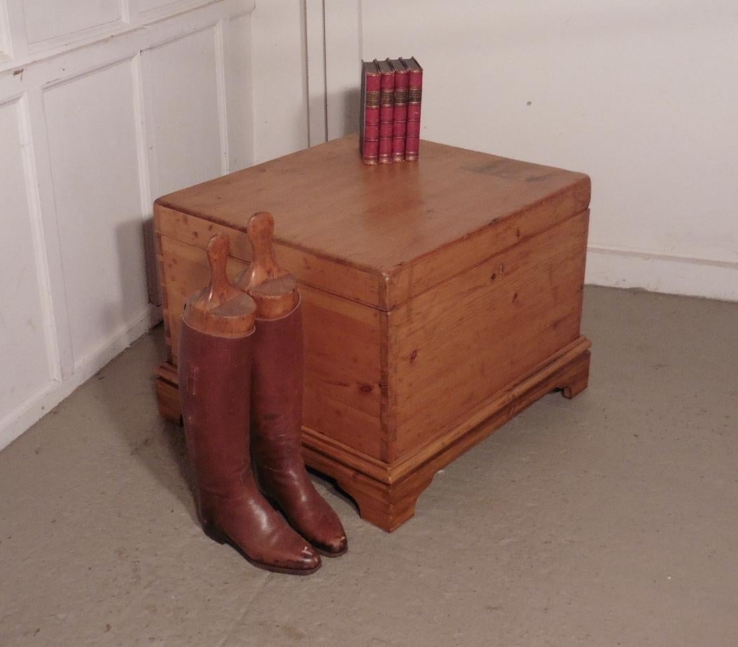 19th Century Large Victorian Pine Blanket Box or Coffee Table