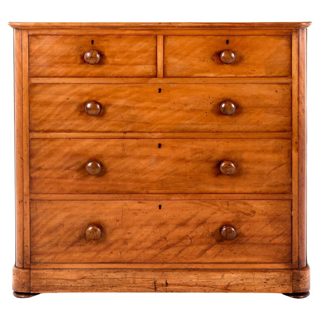 Large Victorian Satin Birch Chest of Drawers For Sale