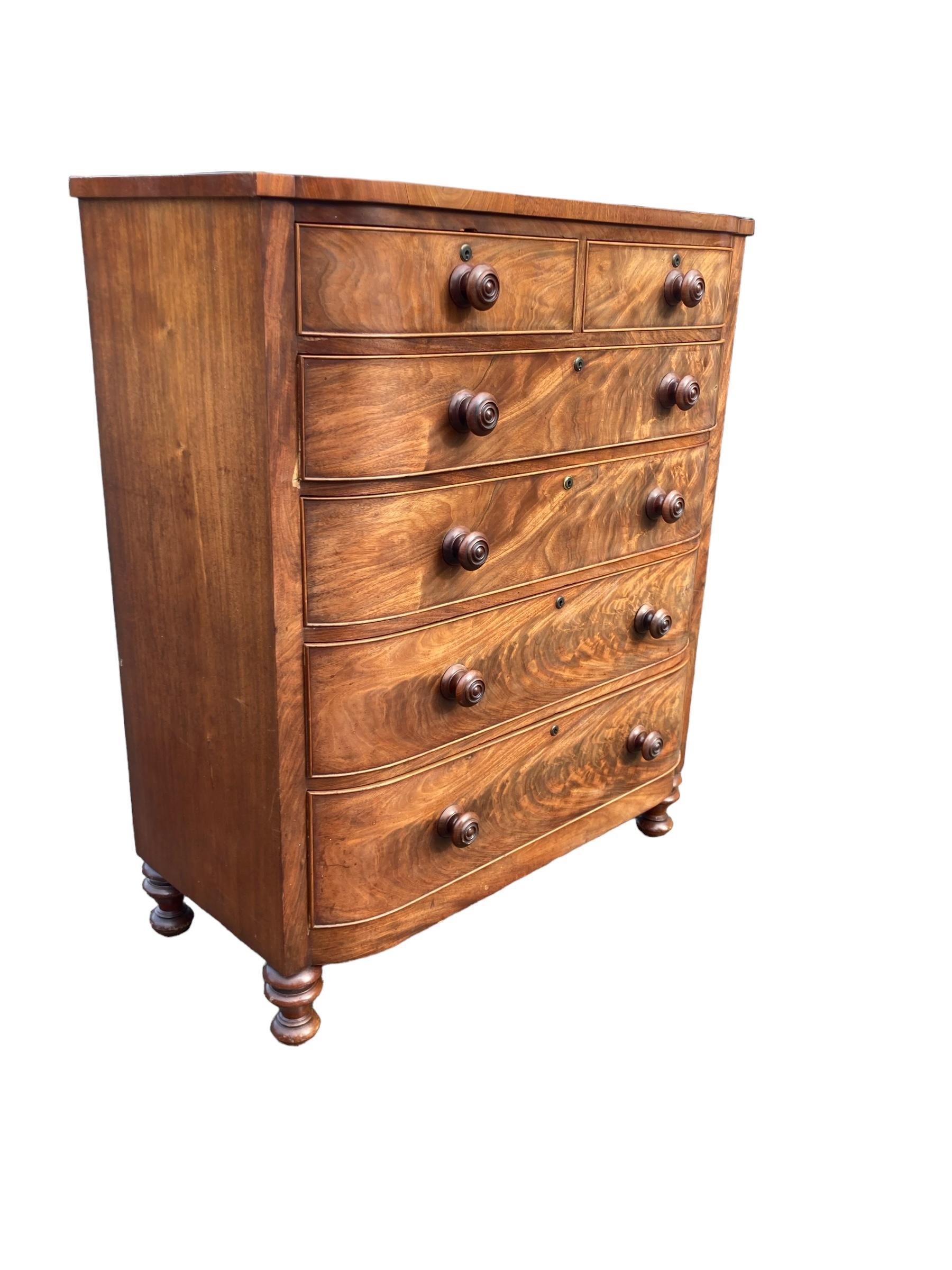 Late Victorian Large Victorian Two over Four Bow fronted Mahohany Chest Graduated drawers