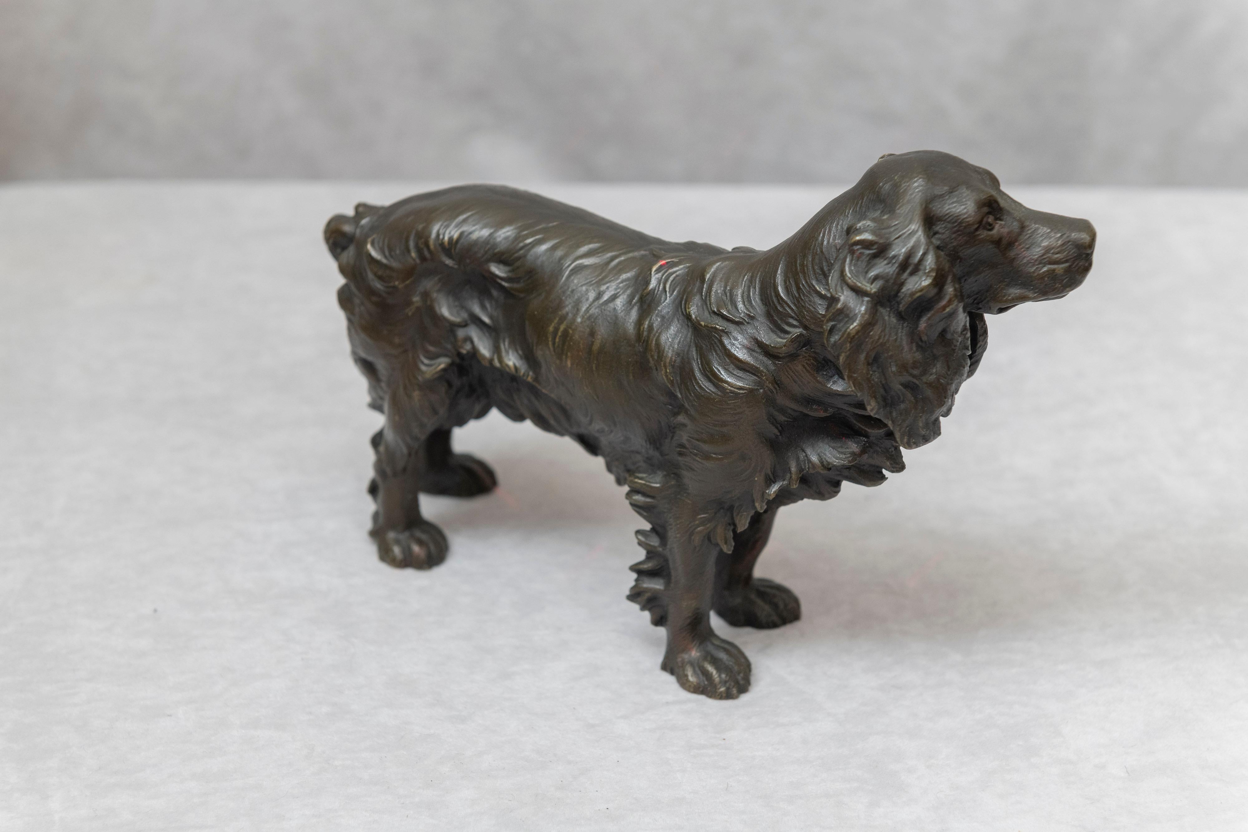 We have been selling Vienna bronzes for over 40 years, and we can safely say that this bronze figure of a cocker spaniel is special. It's size , quality casting, and luscious patina are what makes this one a 