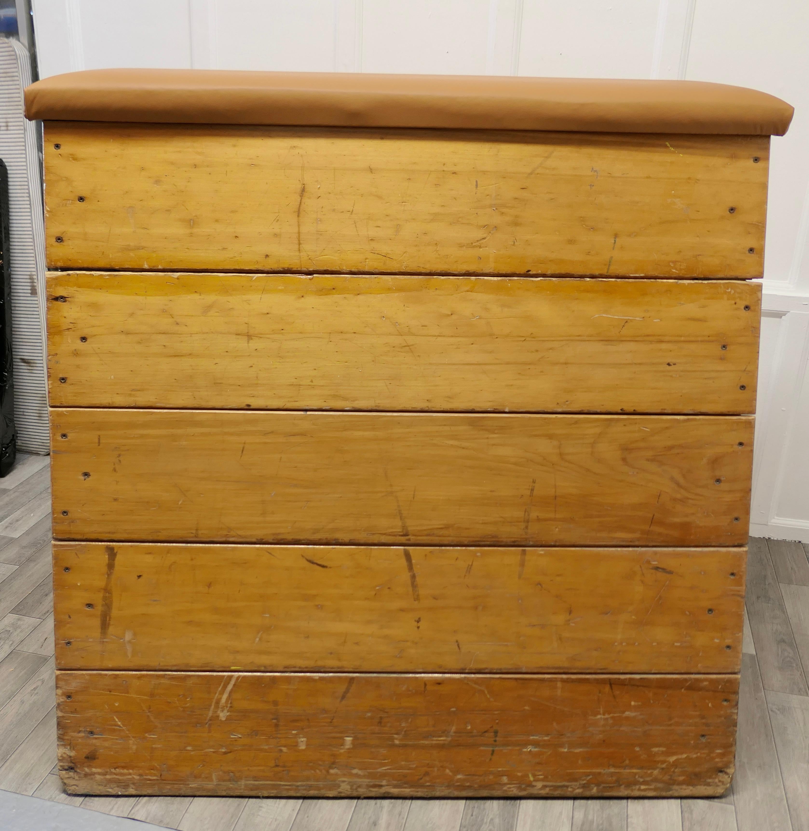 Leather Large Vintage 5 Section Heavy Pine Vaulting Box For Sale