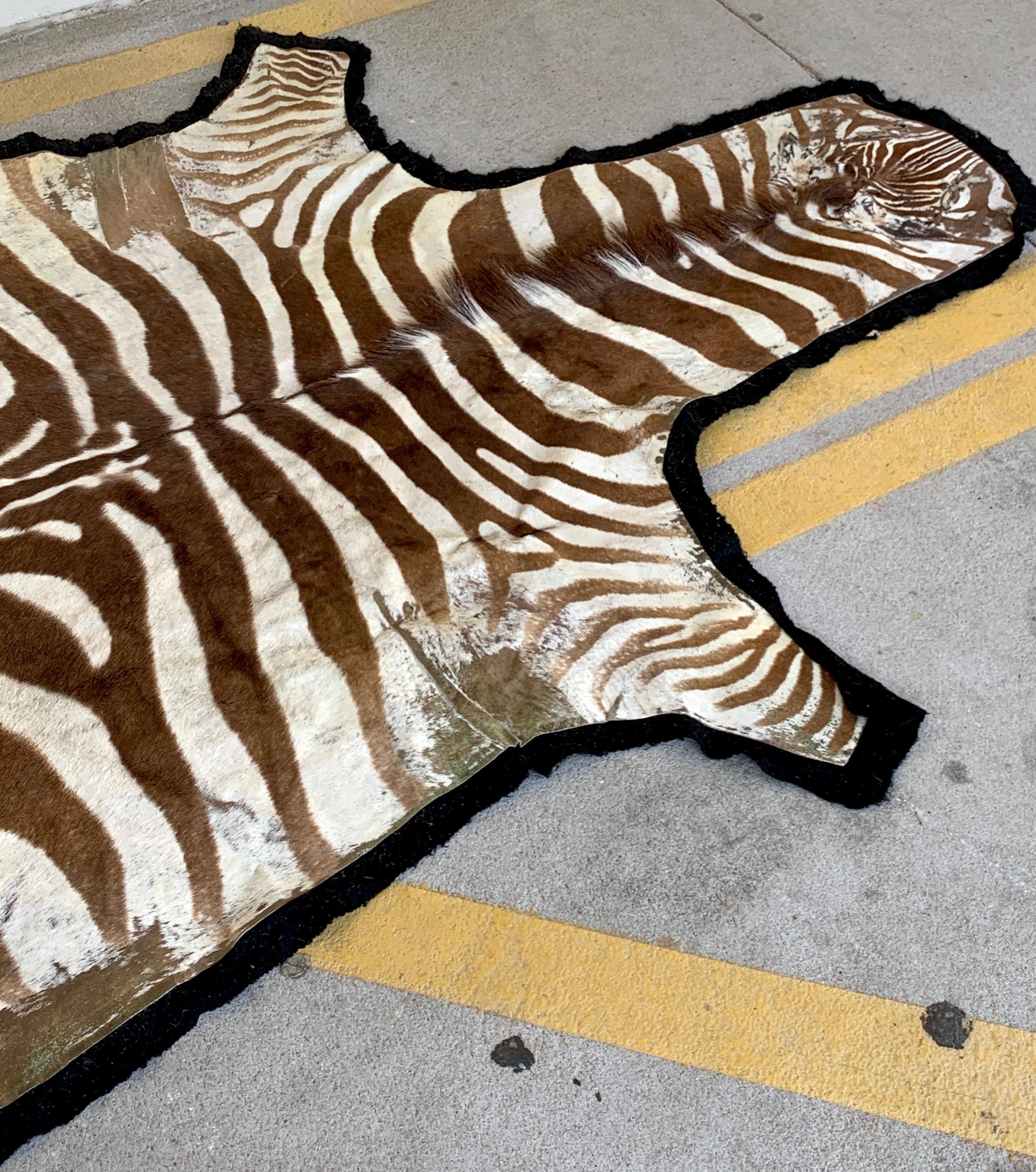 Large Vintage African Burchell Zebra Hide Rug In Good Condition For Sale In Atlanta, GA