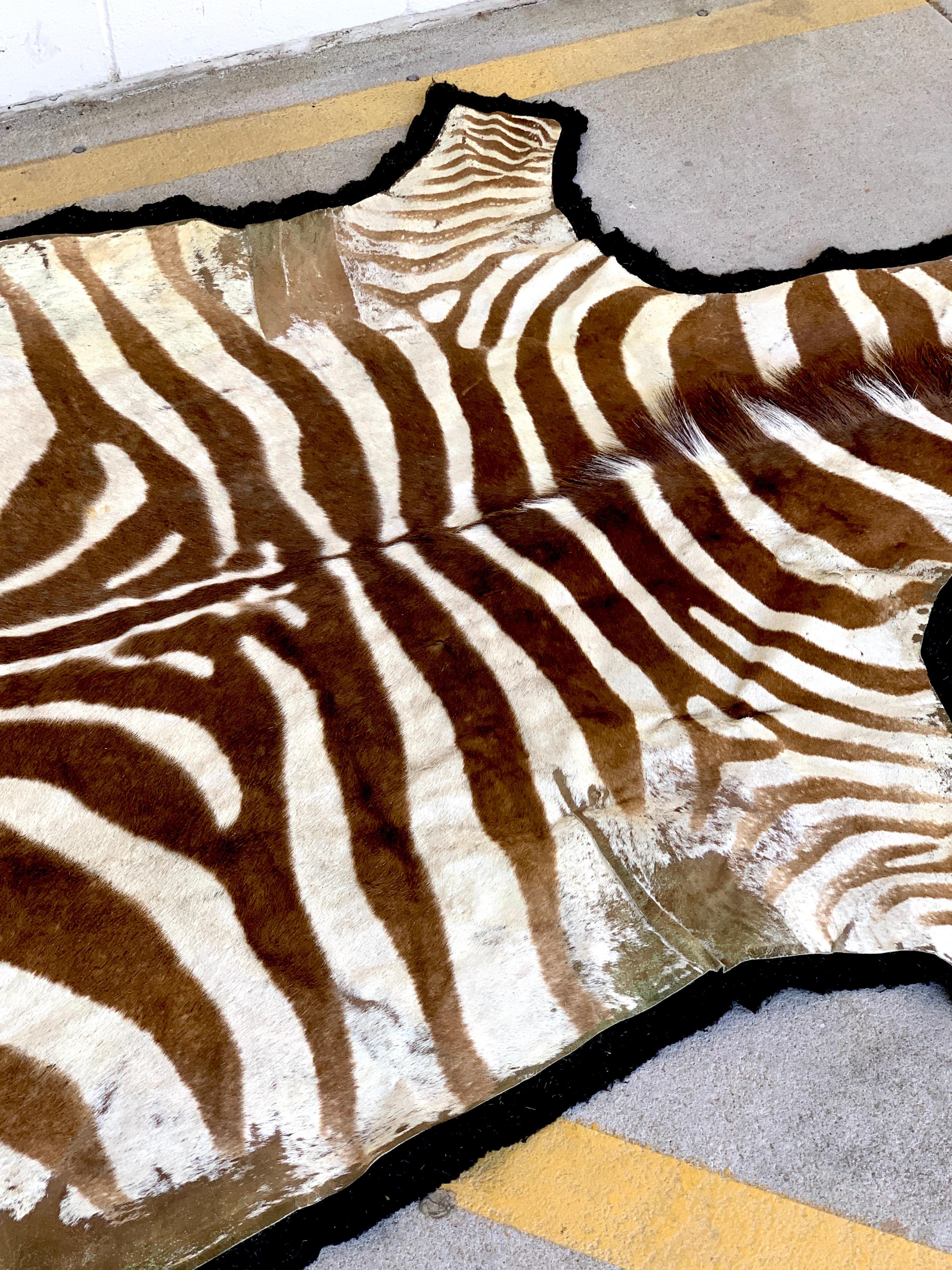 20th Century Large Vintage African Burchell Zebra Hide Rug For Sale
