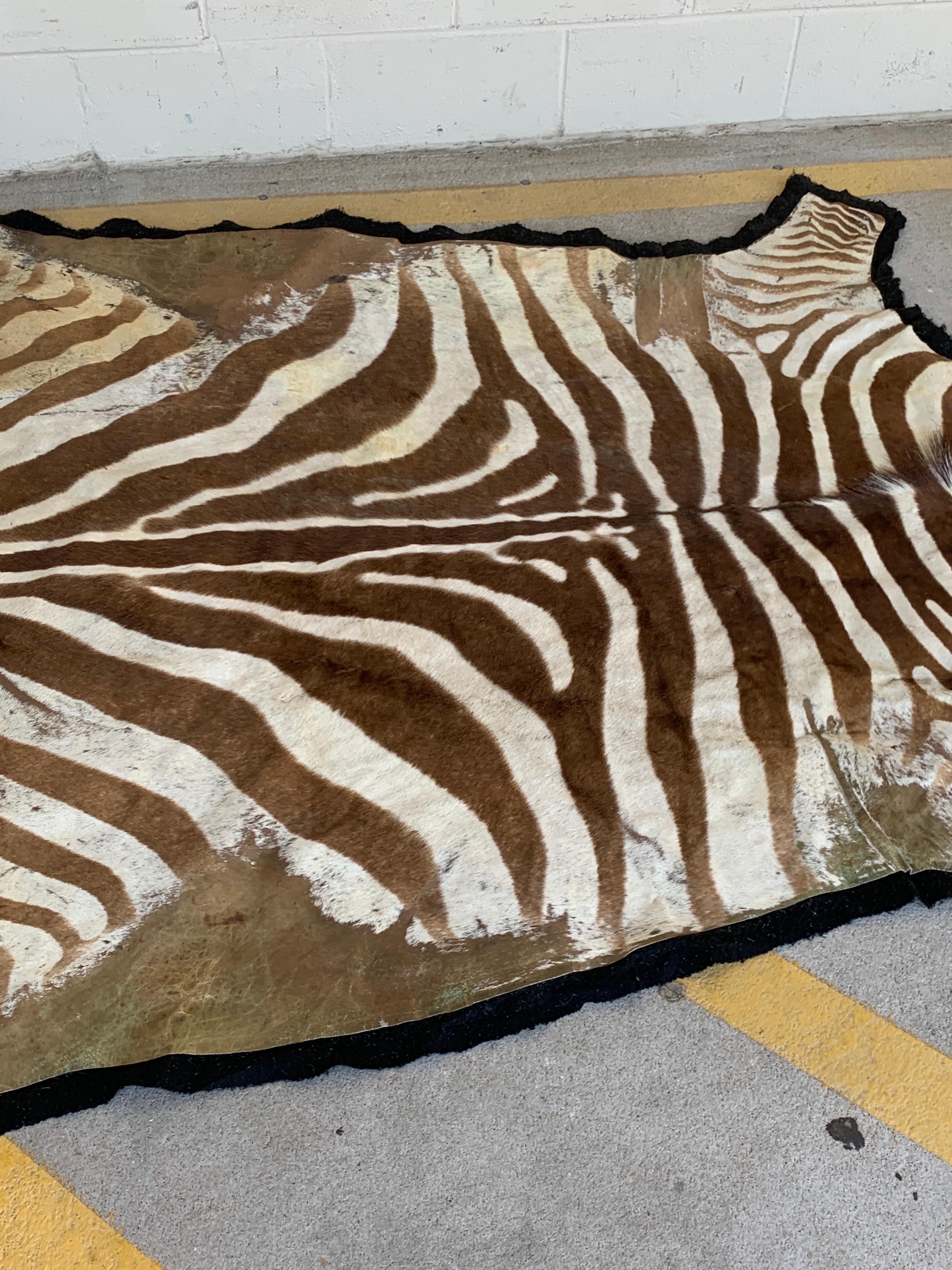 Animal Skin Large Vintage African Burchell Zebra Hide Rug For Sale