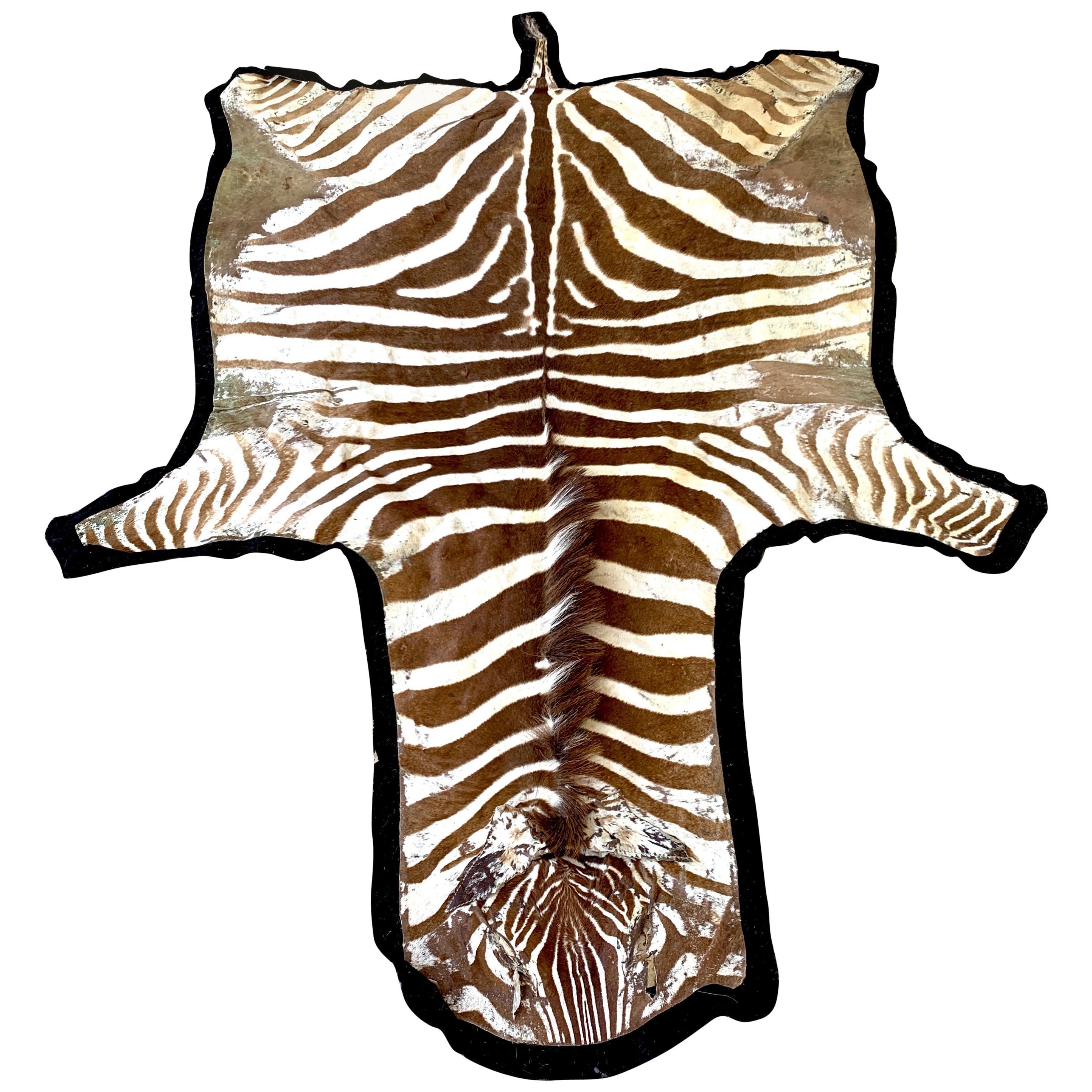 Large Vintage African Burchell Zebra Hide Rug For Sale