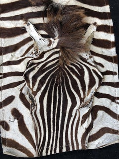 Großer afrikanischer Taxidermy-Teppich aus Zebrafell im Vintage-Stil mit Filzrücken