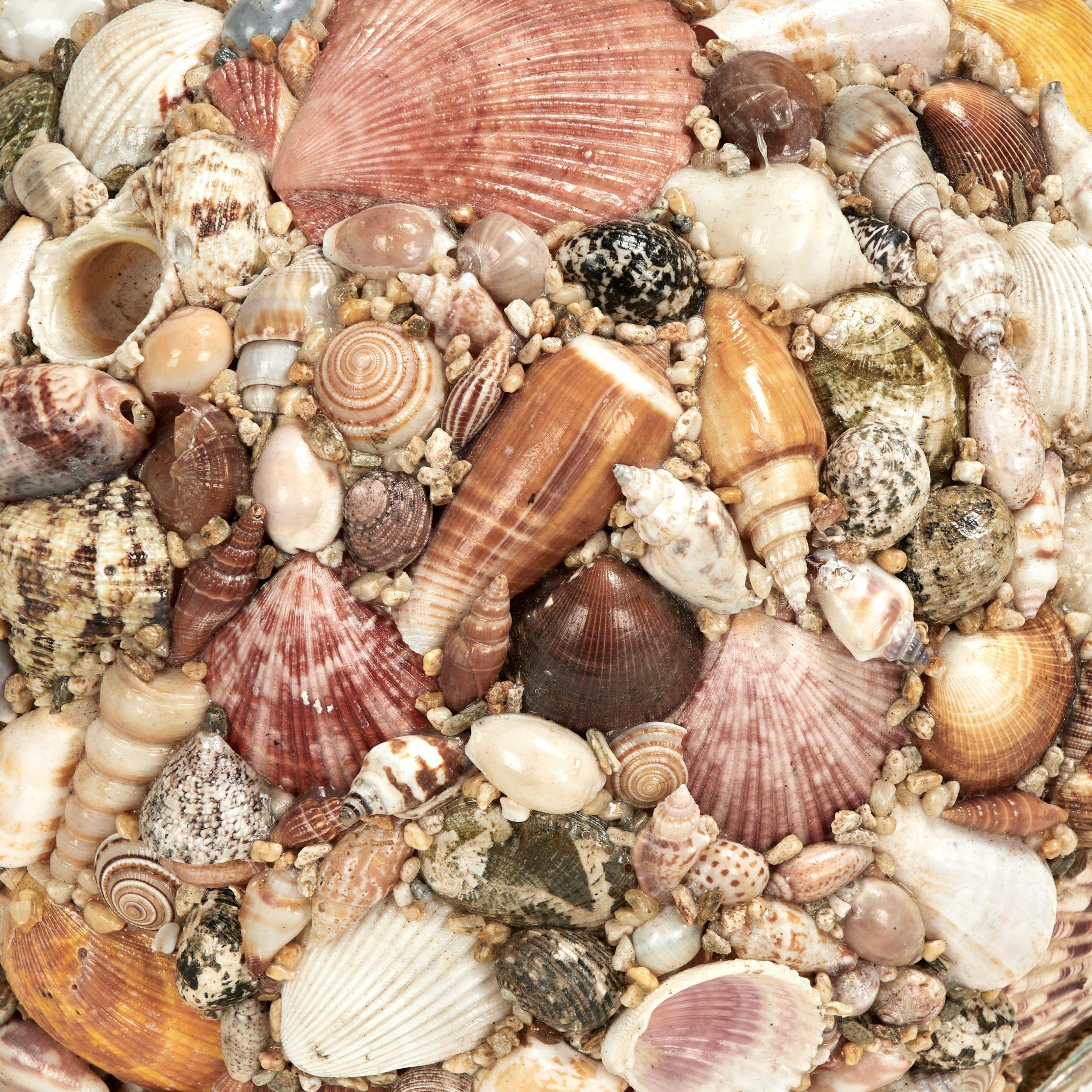 XX secolo Large Vintage Artisan Crafted Seashell Encrusted Sphere in vendita