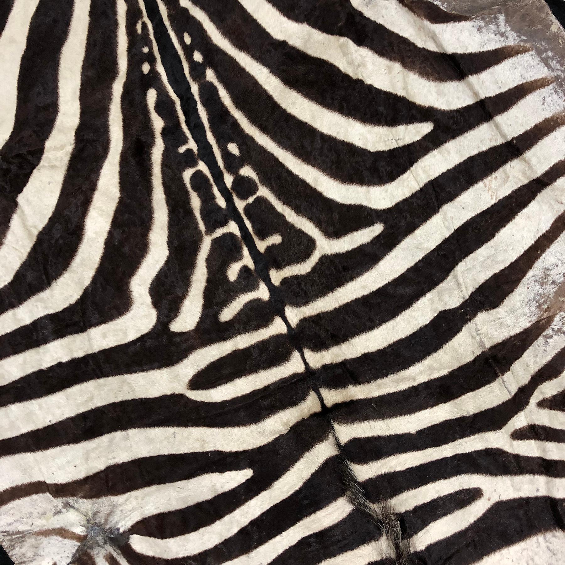 African Large Vintage Burchell Zebra Hide Rug
