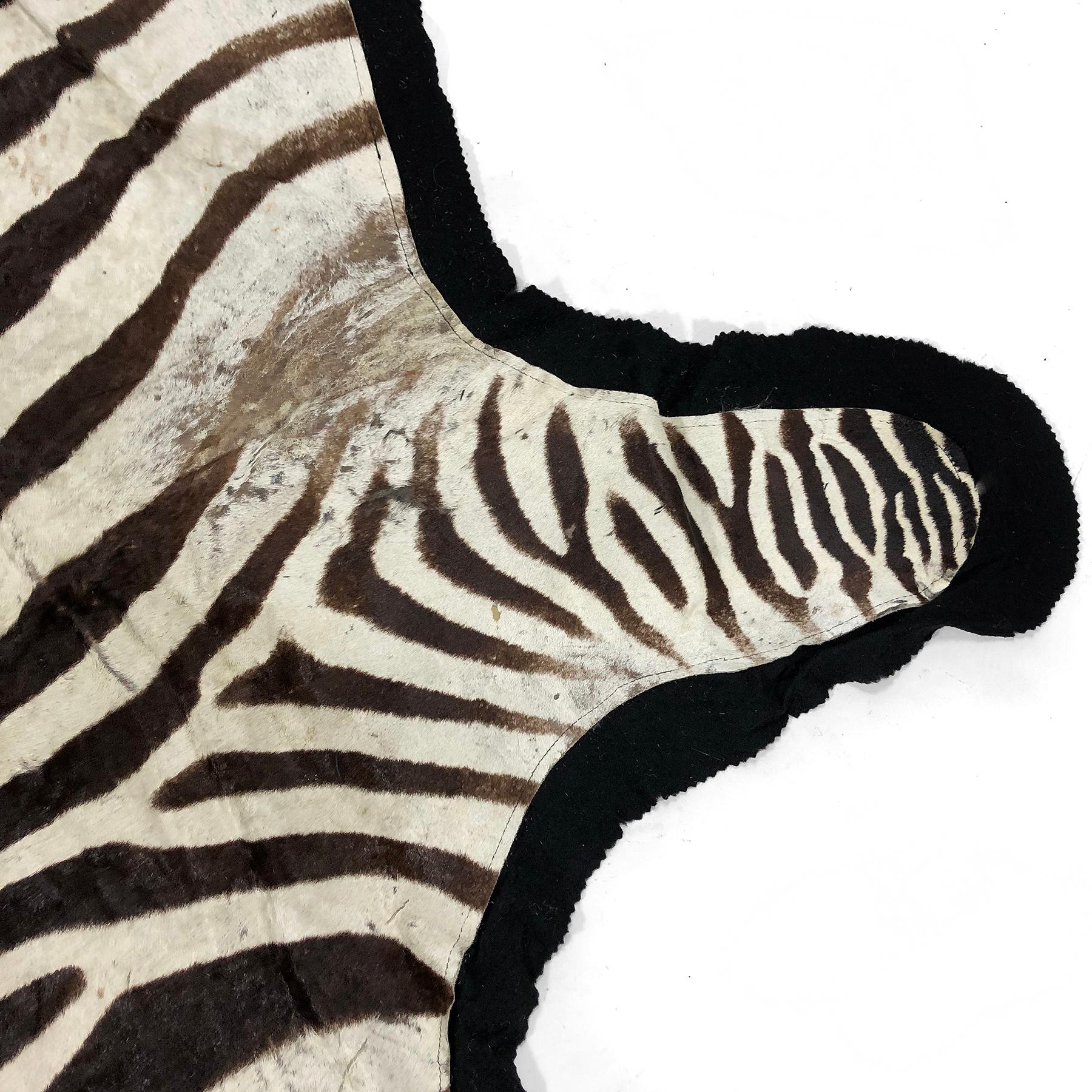 Large Vintage Burchell Zebra Hide Rug In Good Condition In Highland, IN