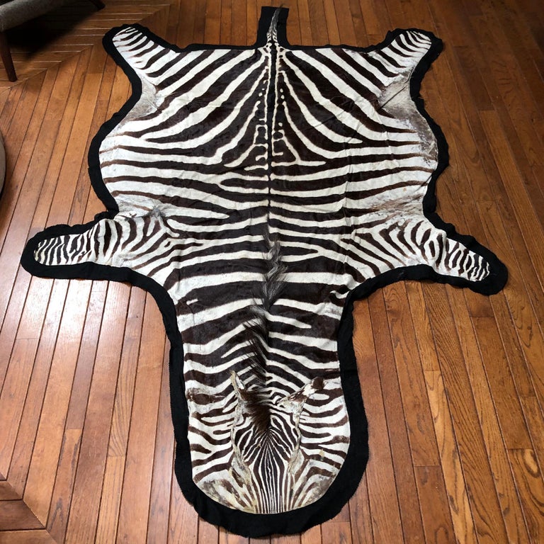 Berber Zebra Rug Large Vintage Burchell Zebra Hide Rug at 1stDibs
