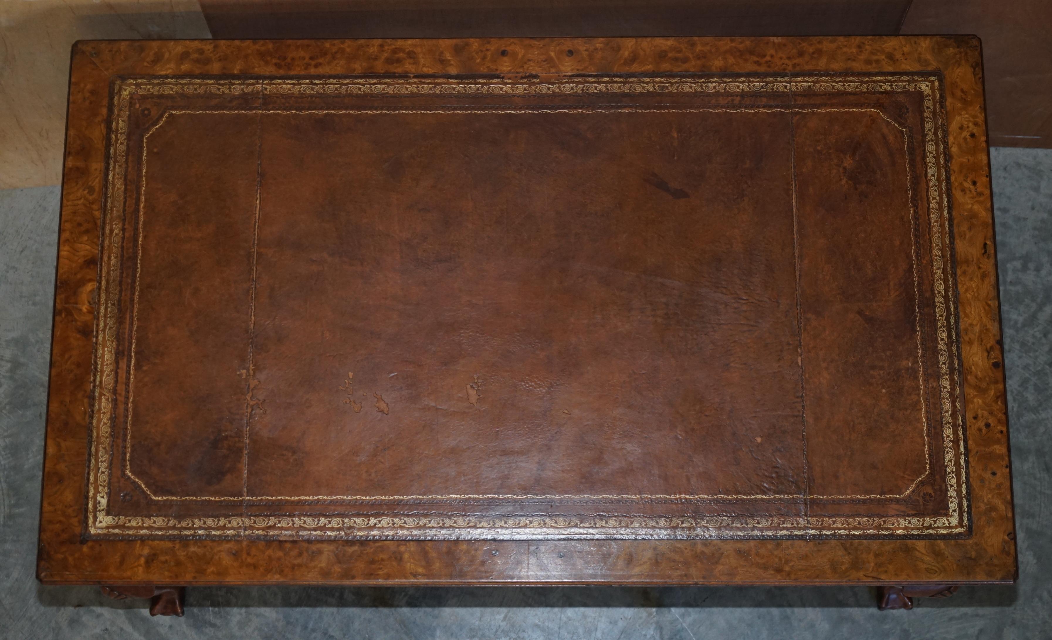 Large Vintage Burr Walnut & Brown Leather Claw & Ball Feet Desk or Writing Table 5