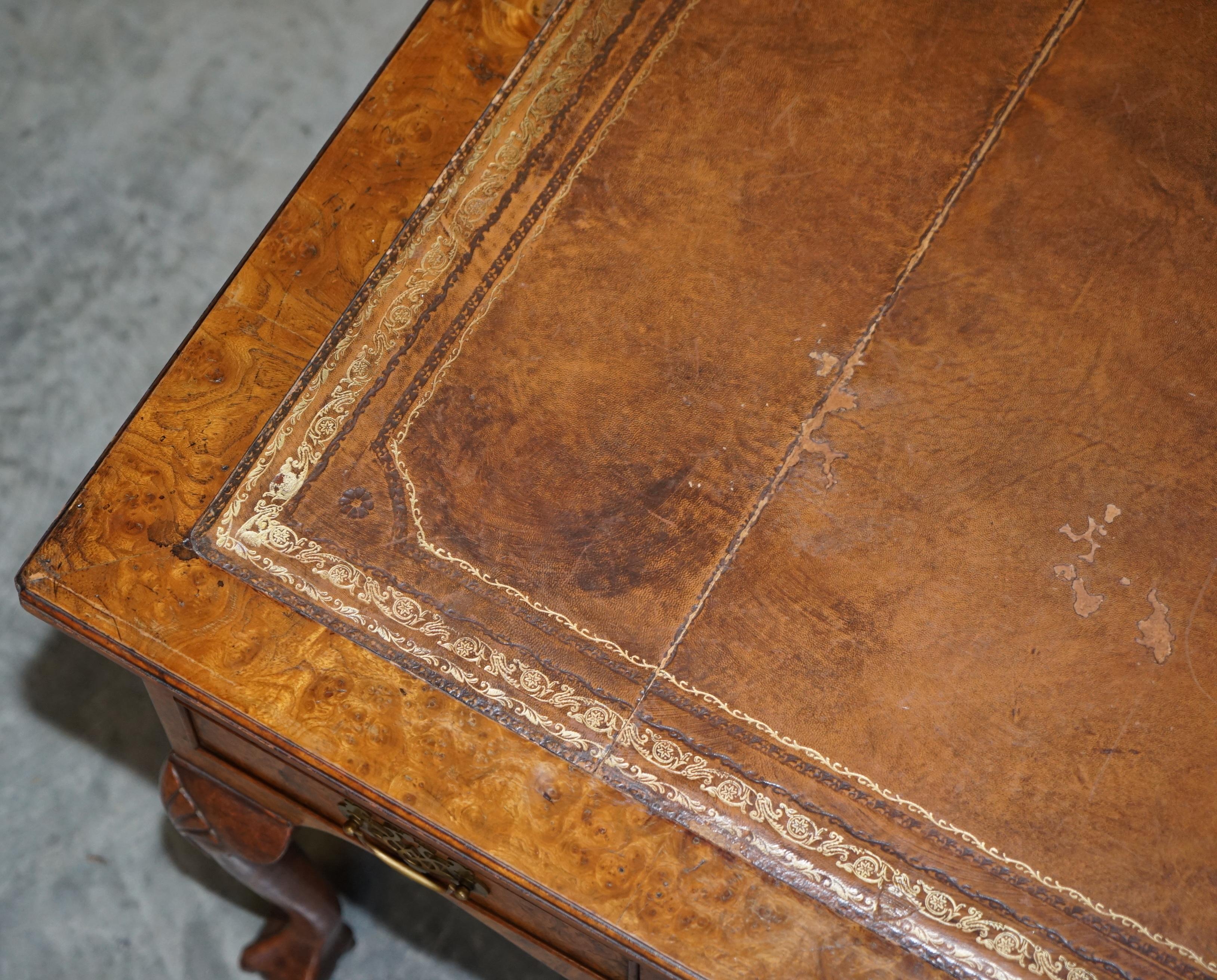 Large Vintage Burr Walnut & Brown Leather Claw & Ball Feet Desk or Writing Table 6