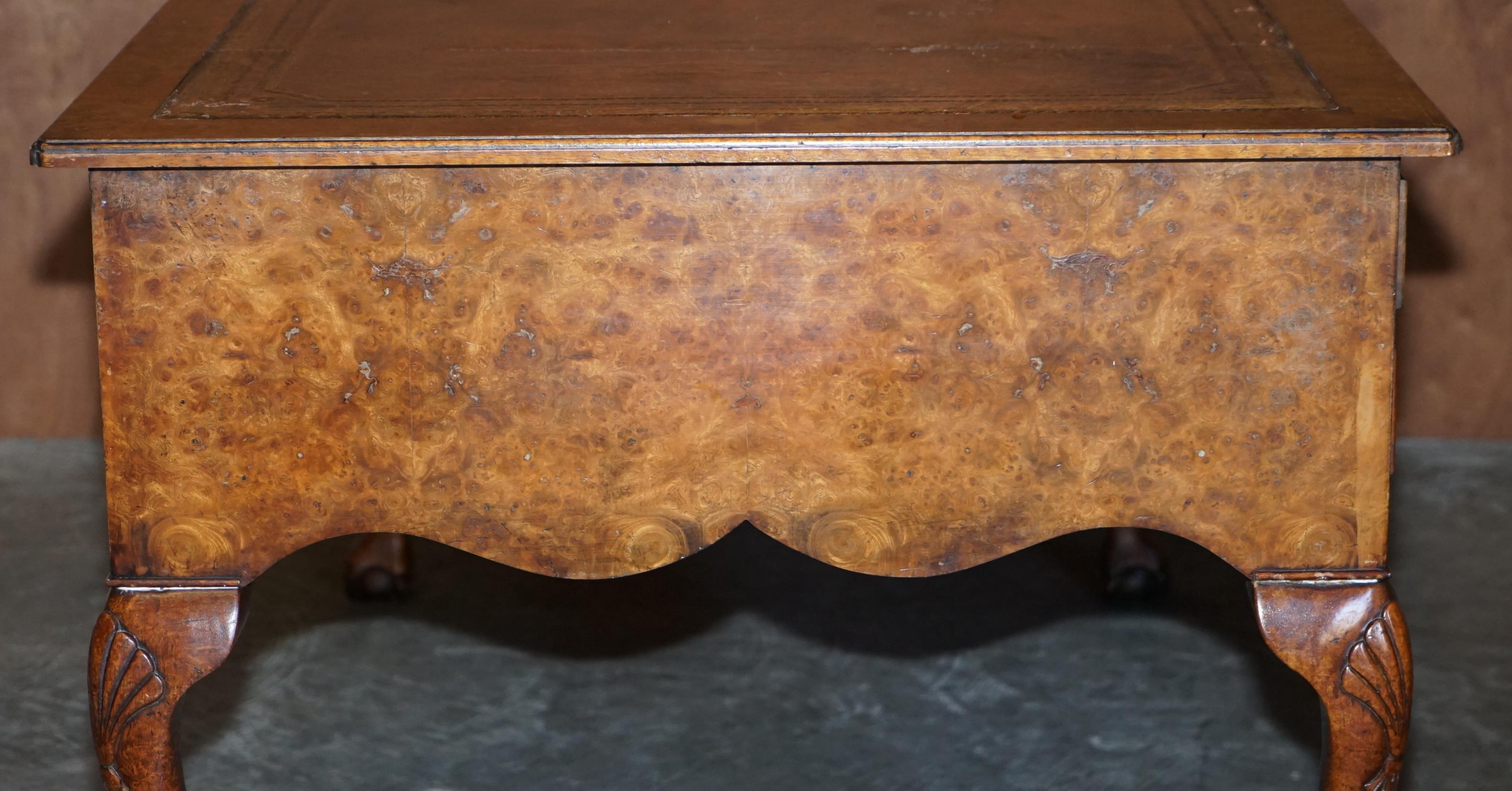 Large Vintage Burr Walnut & Brown Leather Claw & Ball Feet Desk or Writing Table 9