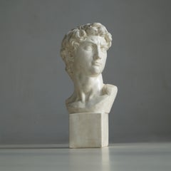 Large Vintage Bust of Michelangelo’s David