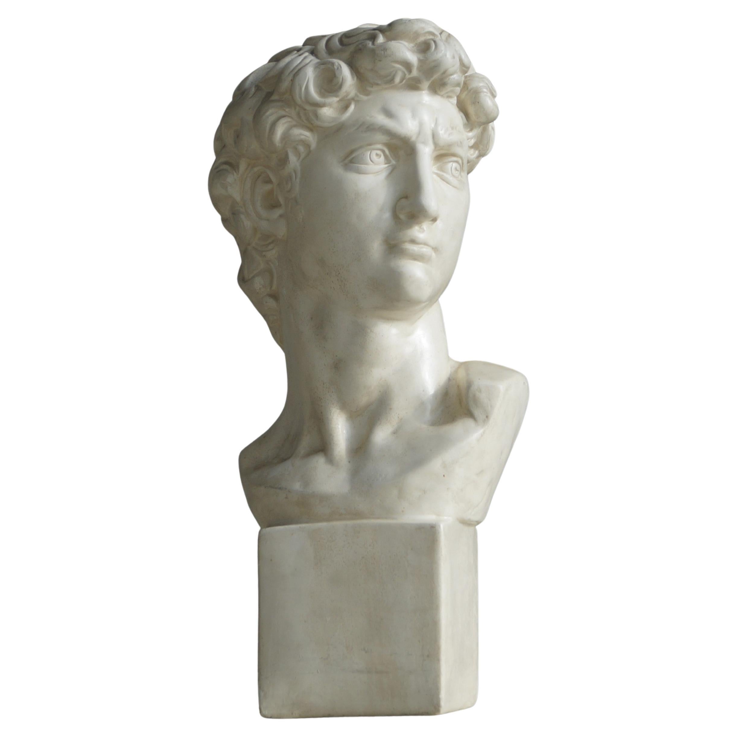 Grande busto d'epoca del David di Michelangelo