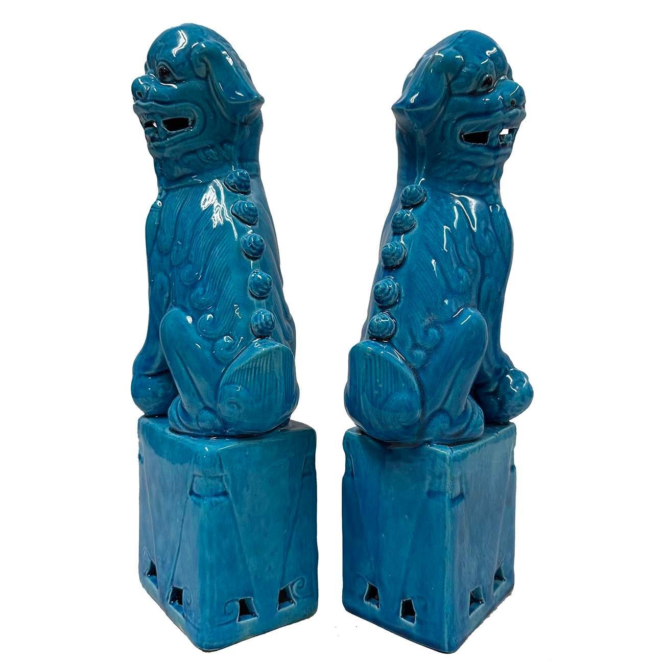 XX secolo Grandi statuette di cani Foo in porcellana cinese turchese d'epoca - una coppia in vendita
