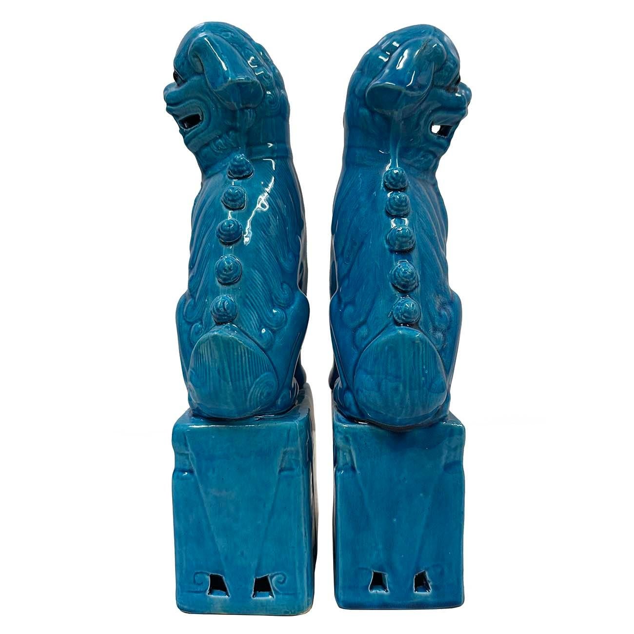 Porcellana Grandi statuette di cani Foo in porcellana cinese turchese d'epoca - una coppia in vendita