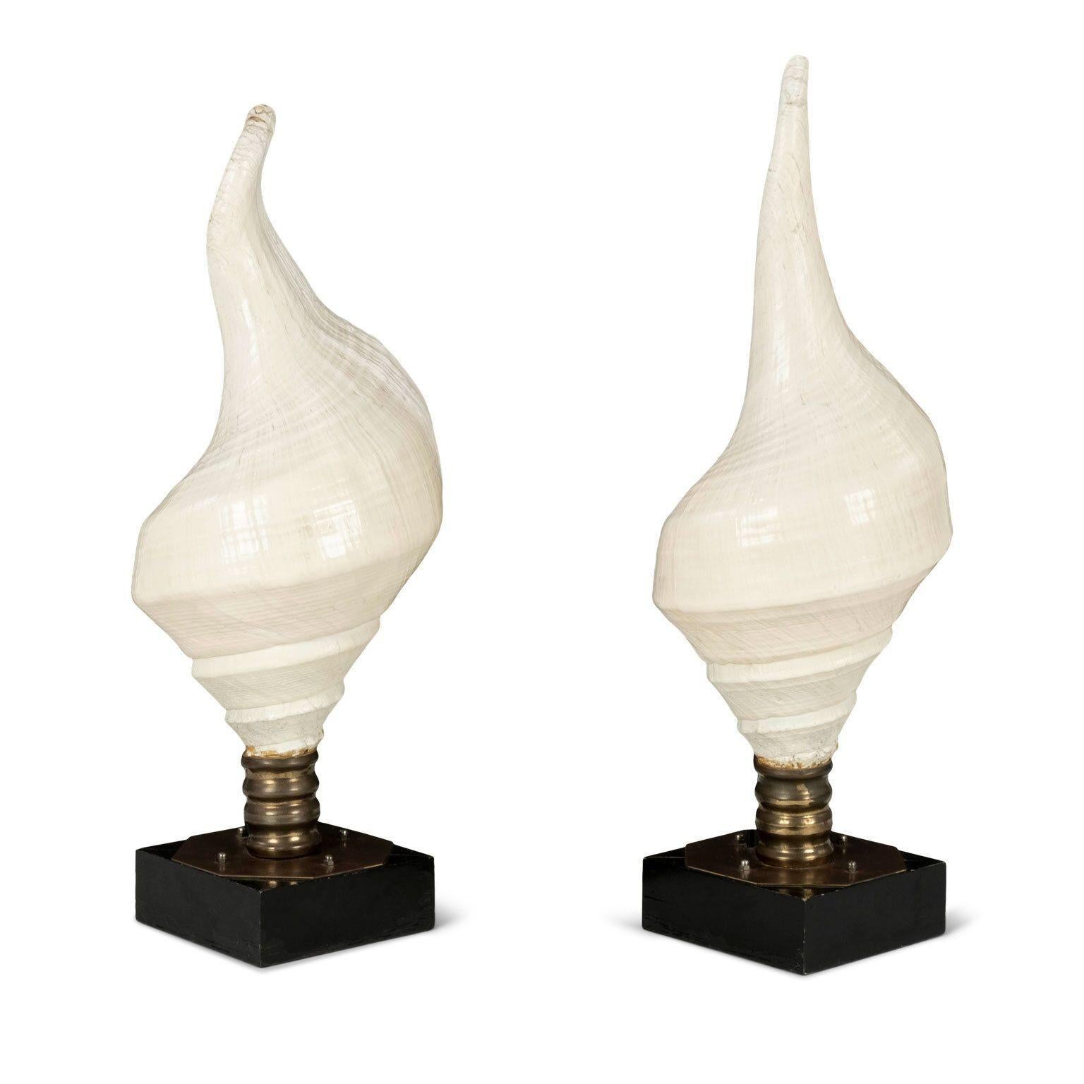 Brass Large Vintage Conch Shell Lamps For Sale
