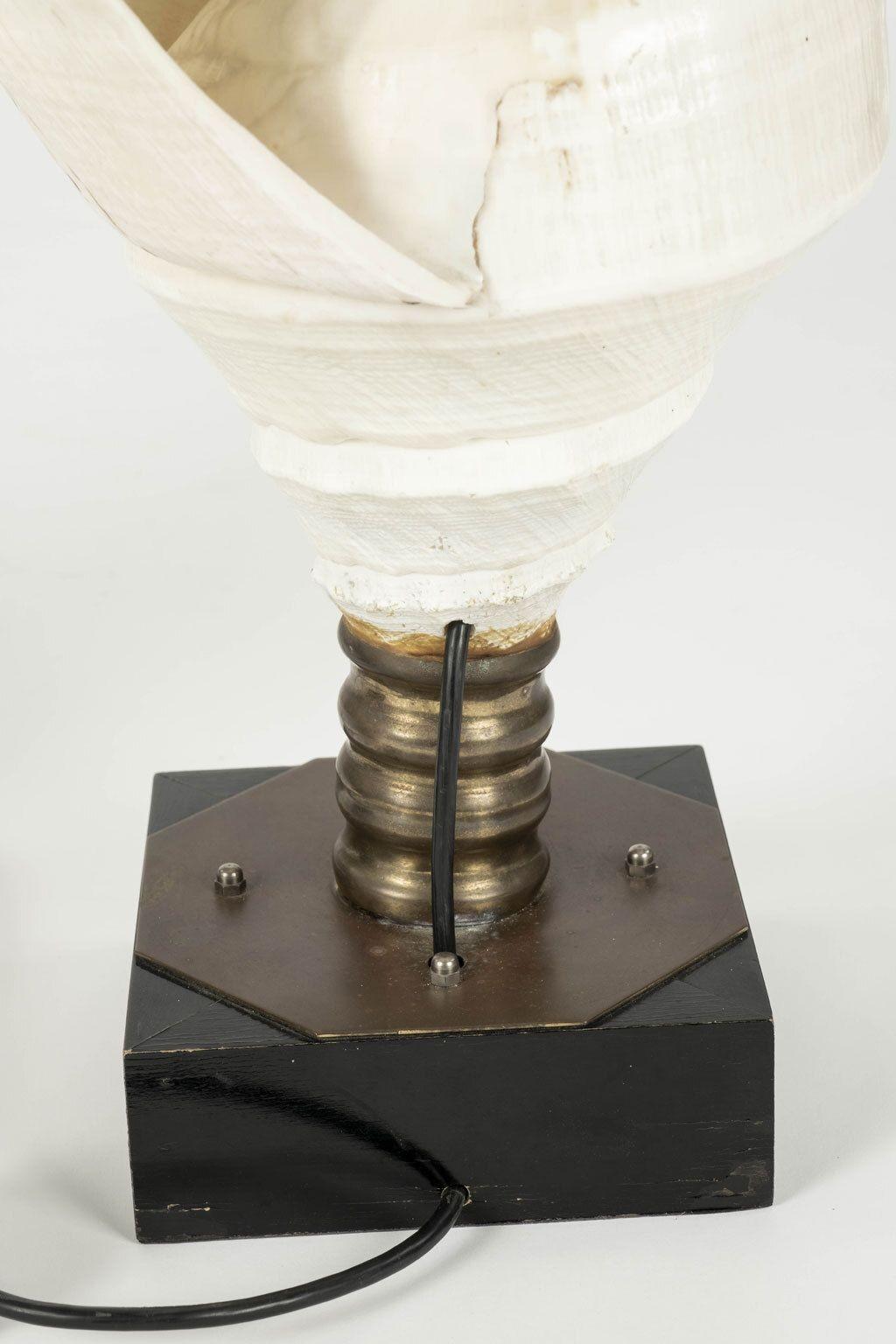 Grandes lampes vintage en forme de coquille de conque datant des années 1970. Coquilles montées sur des socles en laiton et en bois. Paire de lampes uniques, nouvellement câblées pour une utilisation aux Etats-Unis (originaires de France). La