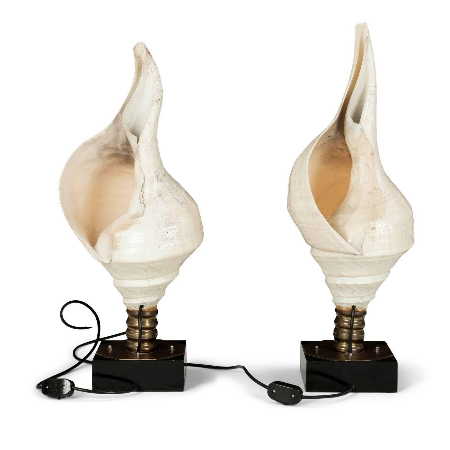 Organique Grandes lampes vintage à coquille de conque en vente