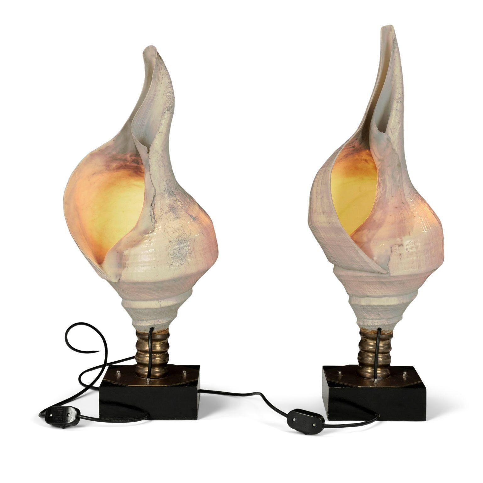 French Large Vintage Conch Shell Lamps For Sale
