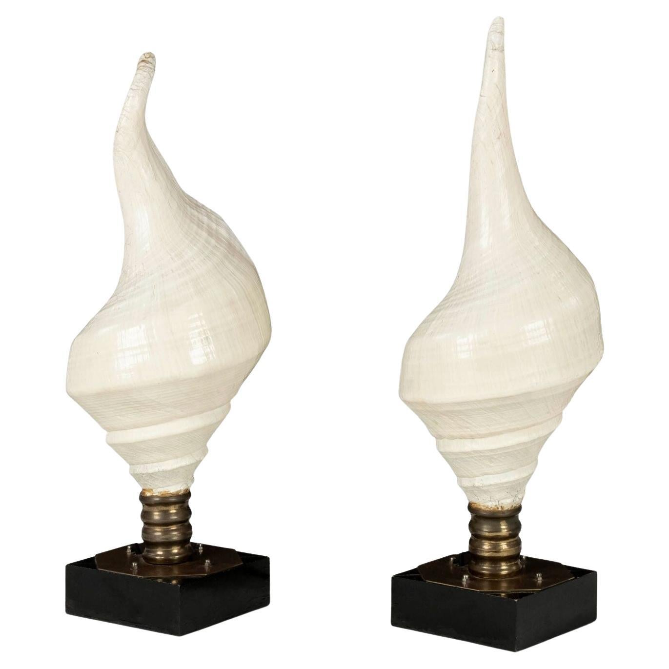 Large Vintage Conch Shell Lamps