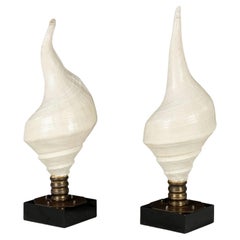 Large Used Conch Shell Lamps