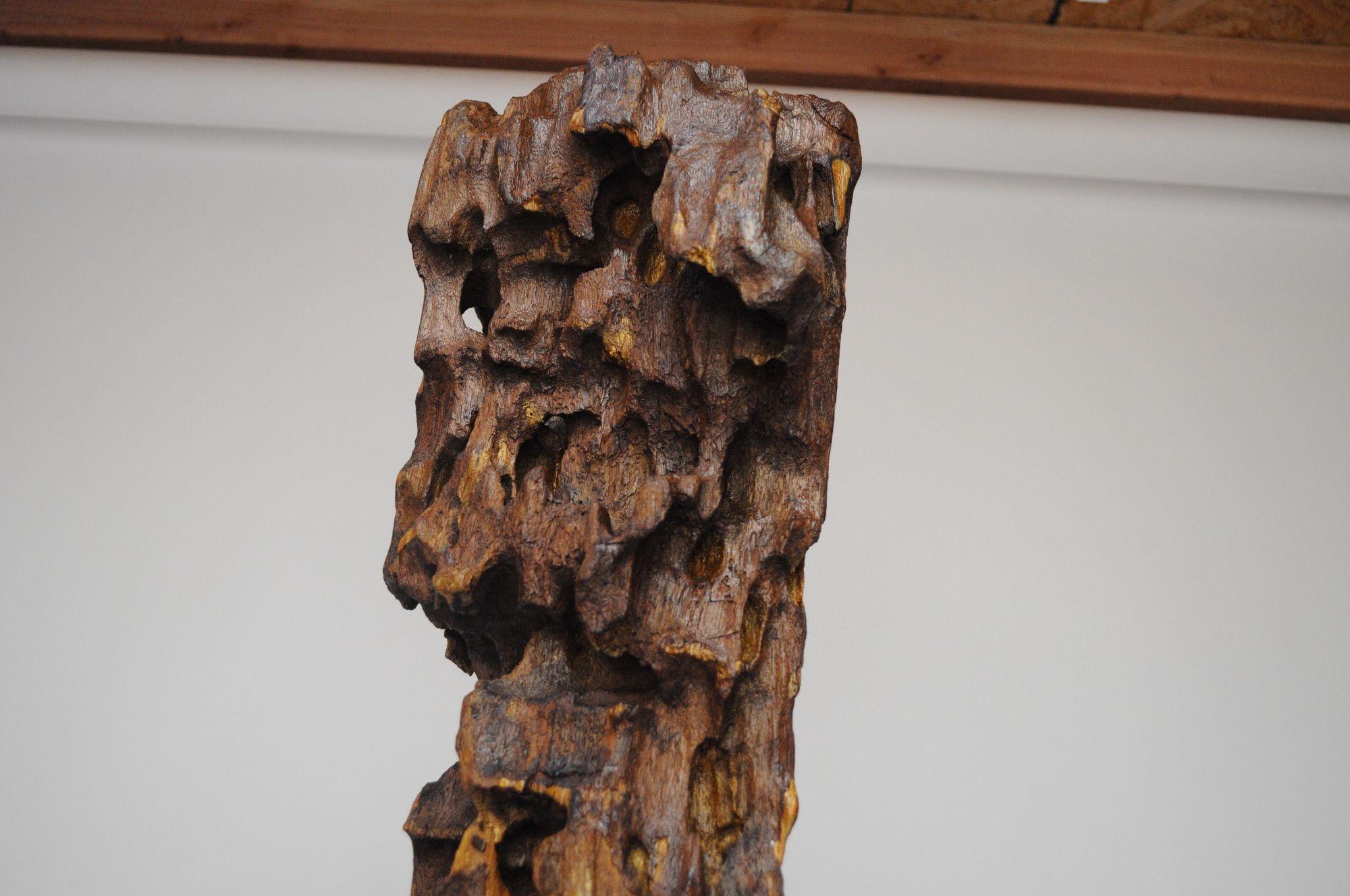 Große freistehende Bodenskulptur aus Treibholz (Ende des 20. Jahrhunderts) im Angebot