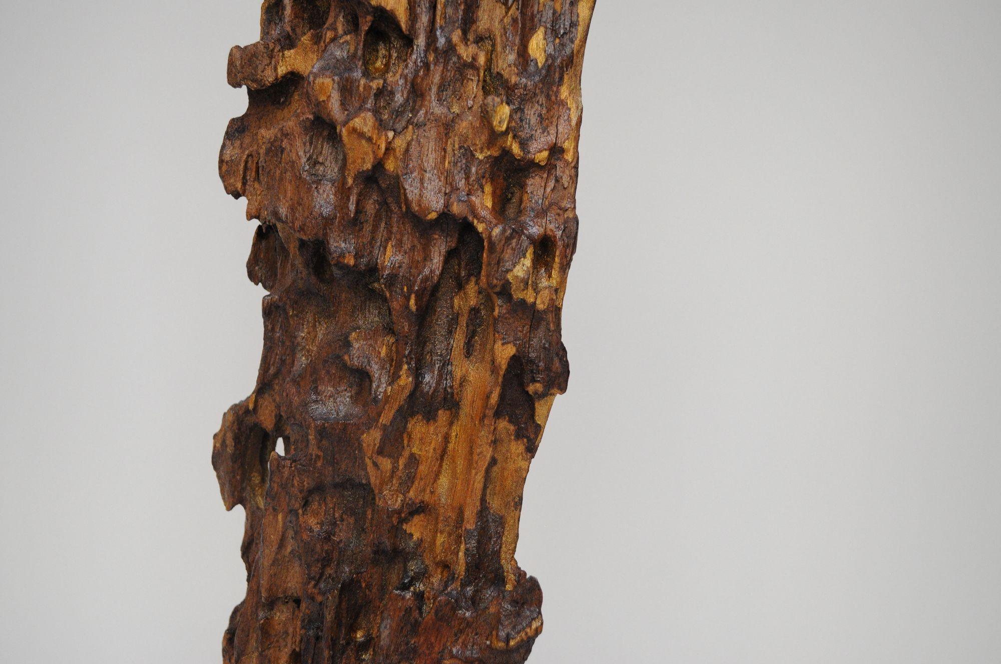 Große freistehende Bodenskulptur aus Treibholz (Holz) im Angebot