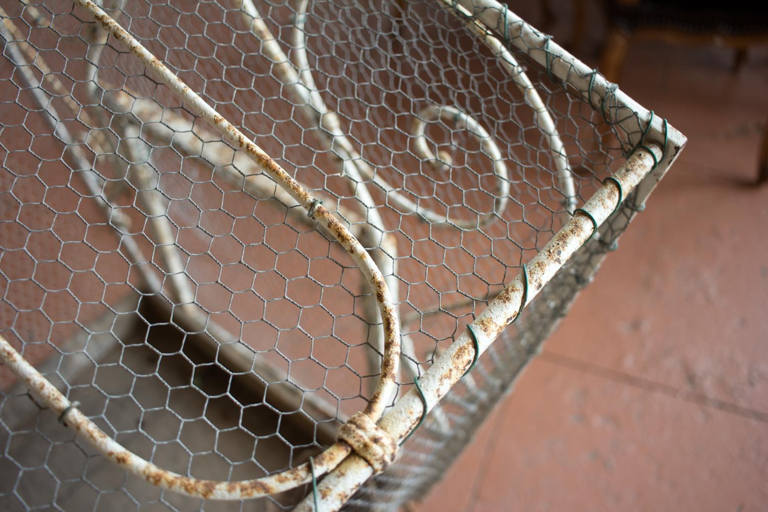 Large Vintage French Bird Cage 3