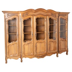 Large Vintage French Bookcase Display Cabinet Vitrine, circa 1960