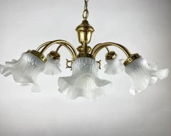 Large Vintage Gilt Brass & Frosted Glass Flower Shaped Chandelier