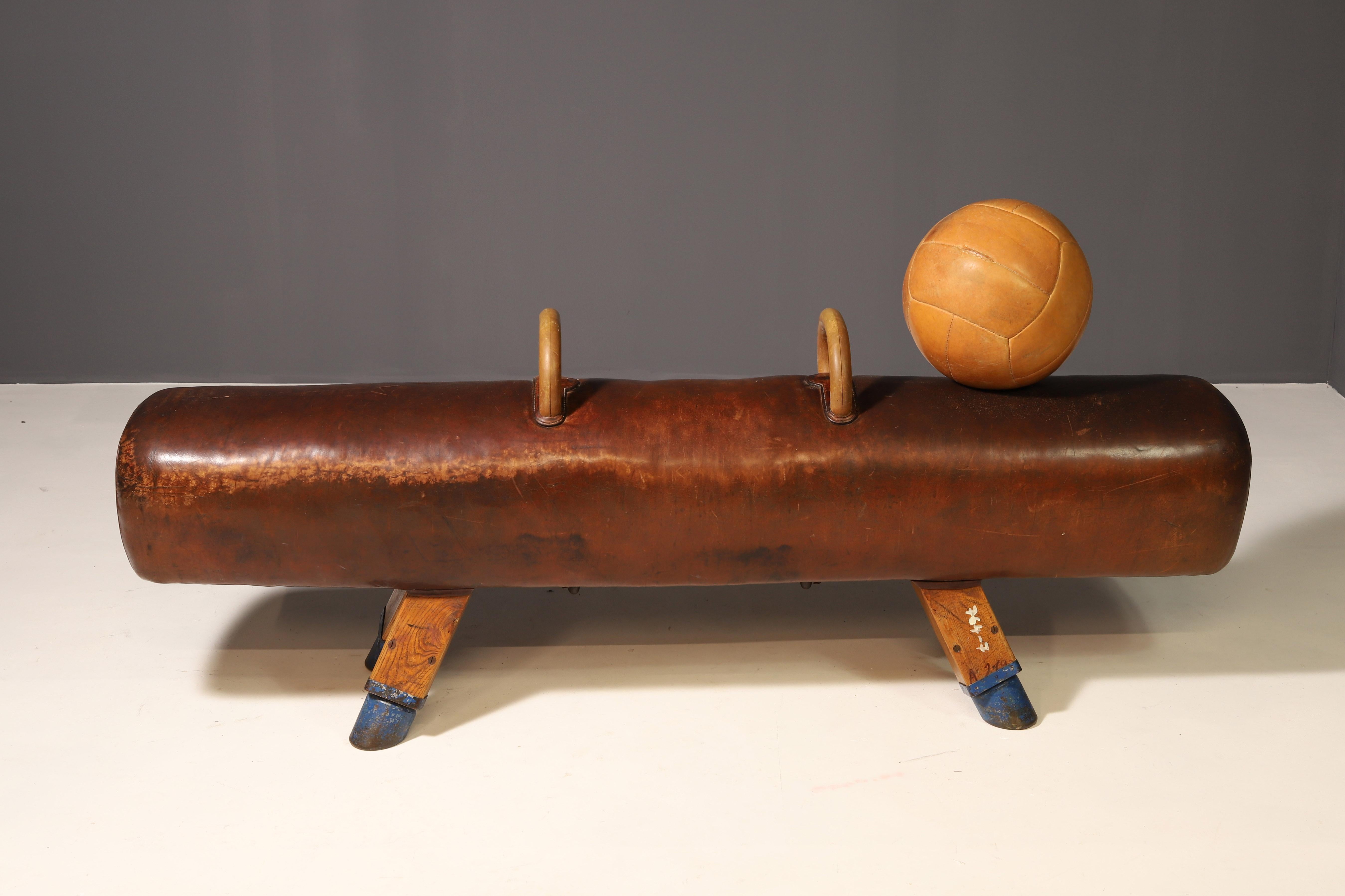 Animal Skin Large Vintage Leather Medicine Ball For Sale