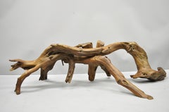 Large Vintage Mid-Century Modern Driftwood Freeform Live Edge Coffee Table Base