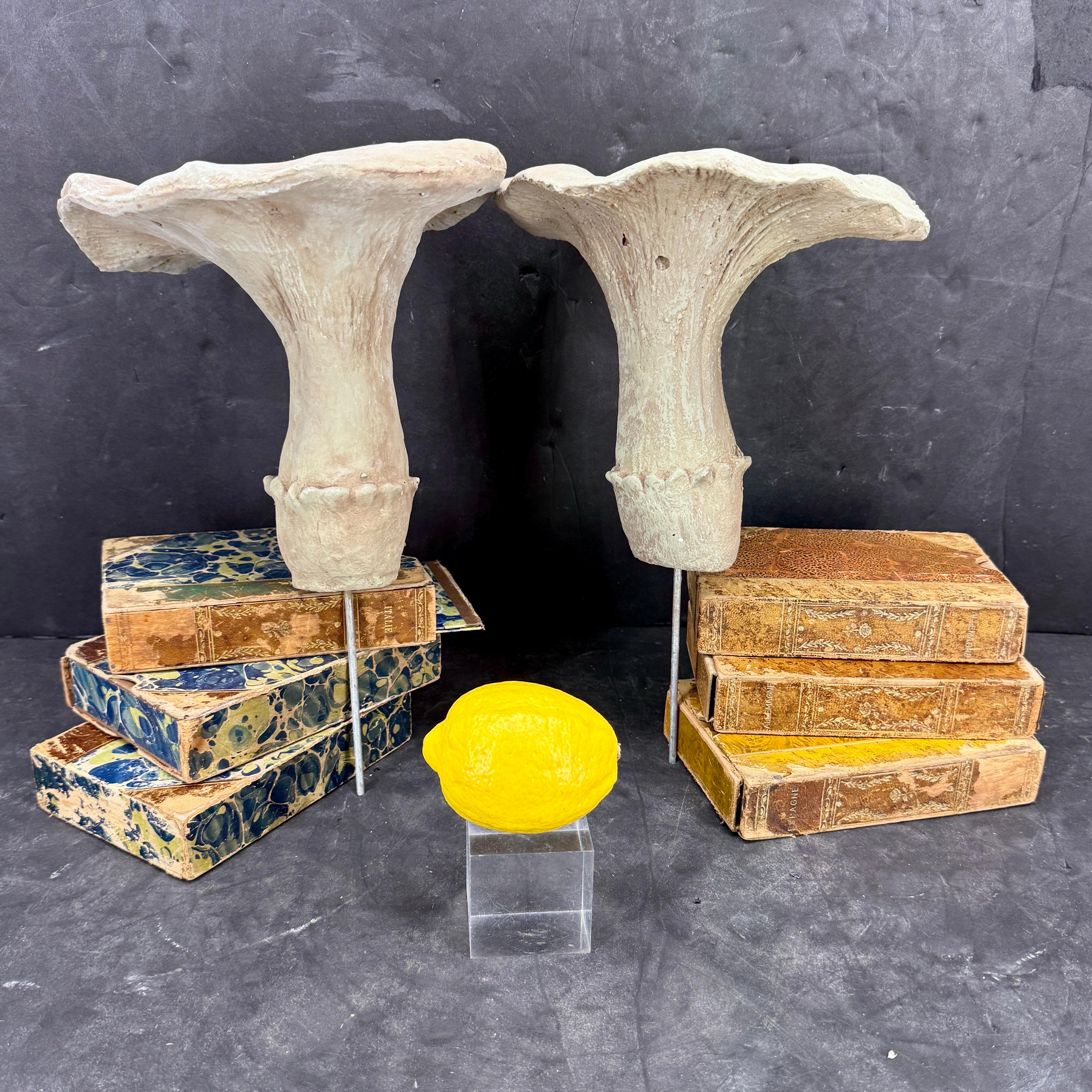 Large Vintage Pair of Two Concrete Chanterelles Mushroom Garden Ornaments For Sale 6