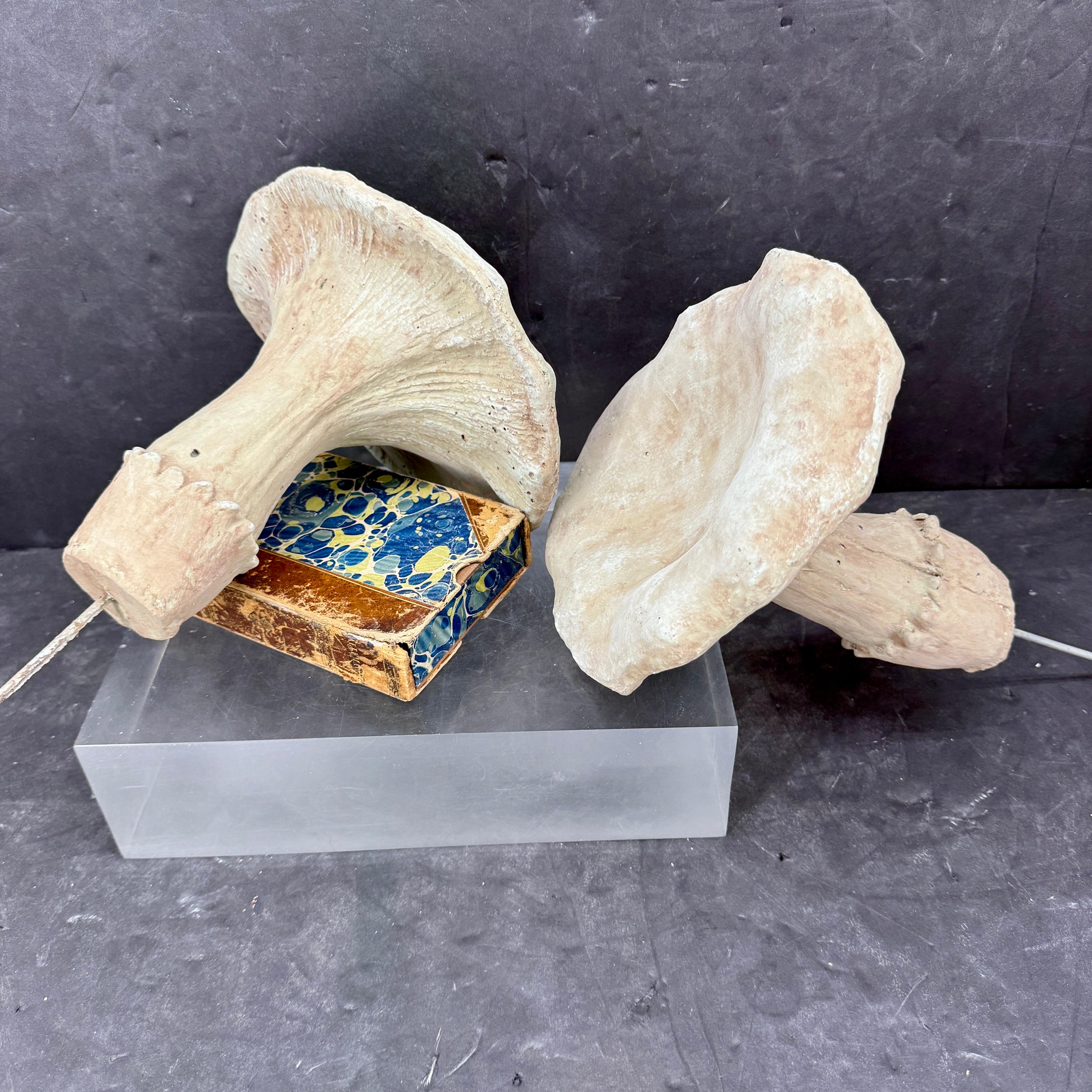 Large Vintage Pair of Two Concrete Chanterelles Mushroom Garden Ornaments For Sale 7